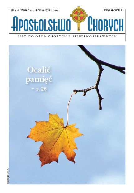 Okładka – 11/2012